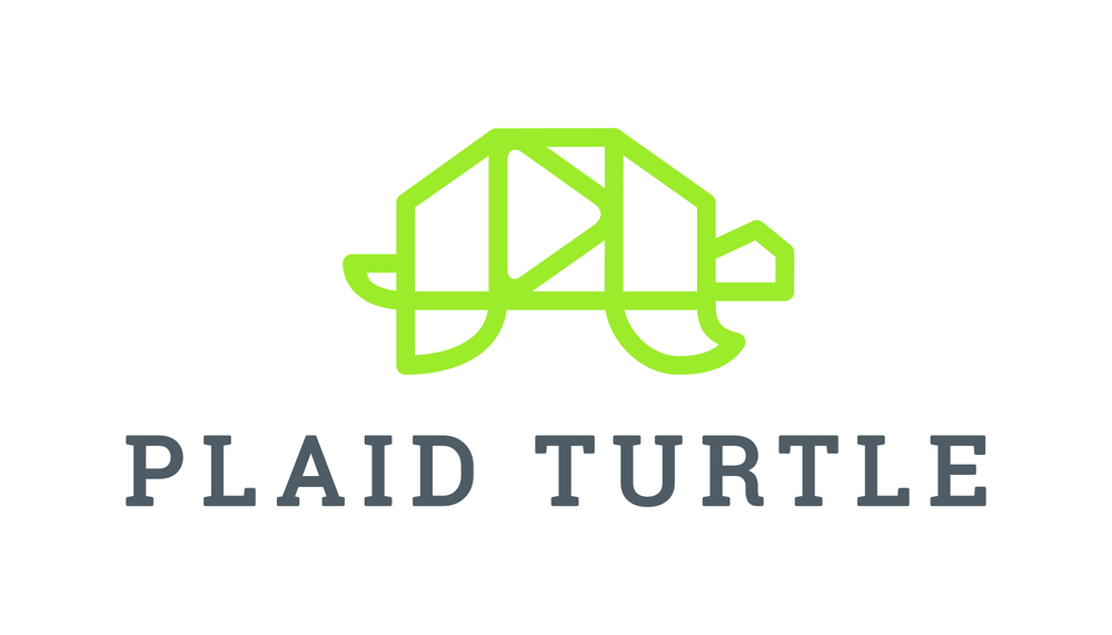 Plaid Turtle