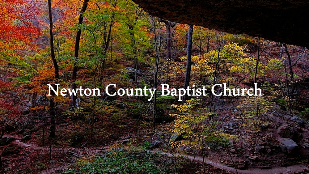 Newton County Baptist Church
