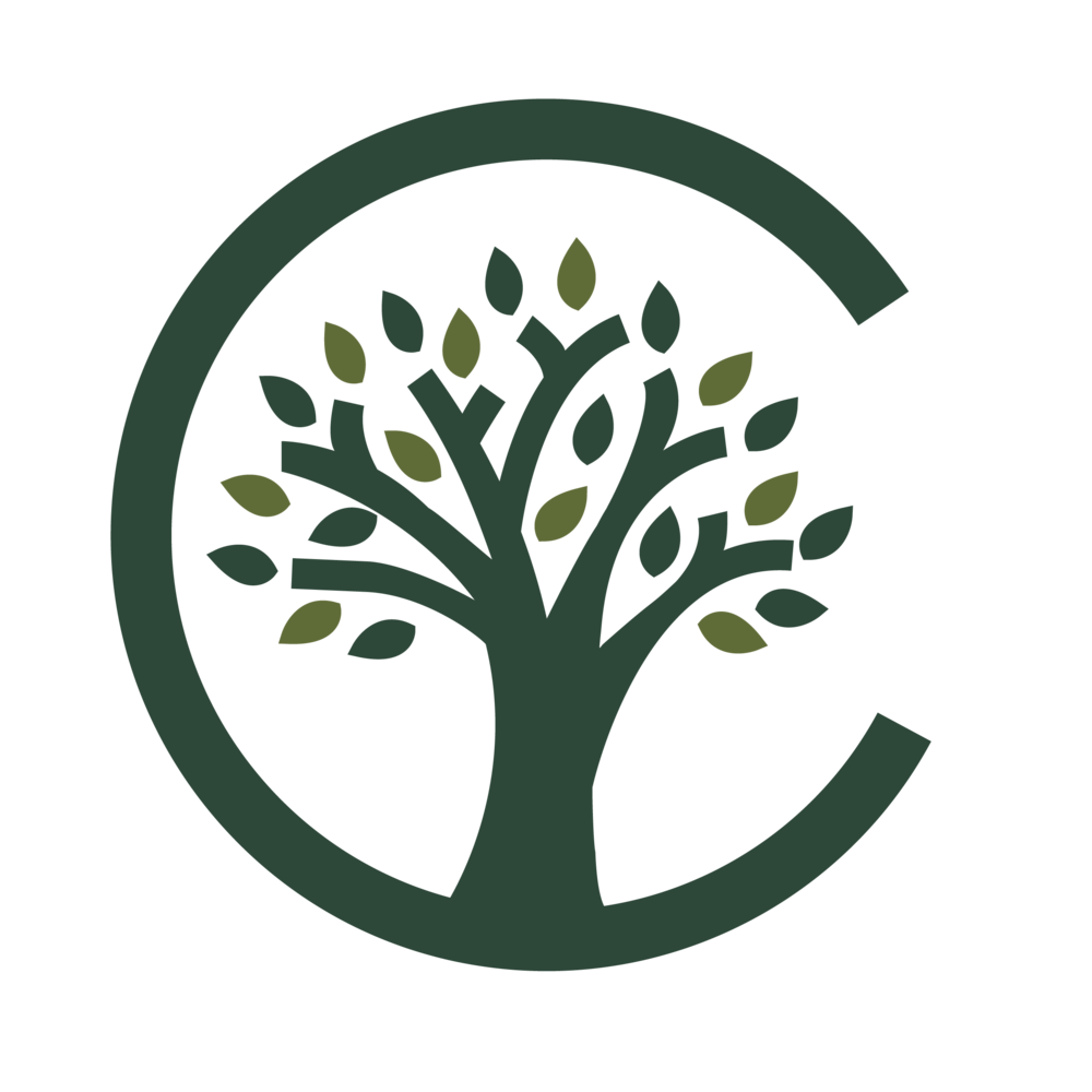 True Life Community Church