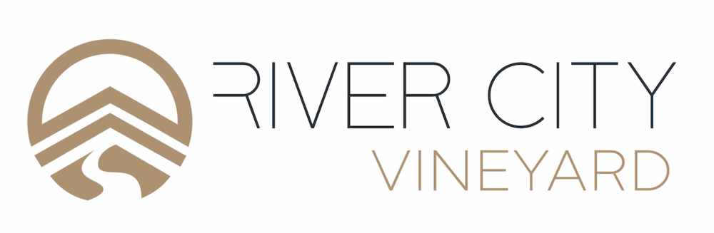 Vineyard Christian Fellowship