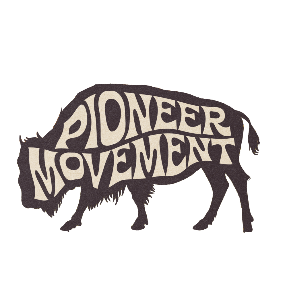Pioneer Movement