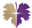 Vineyard Community Church