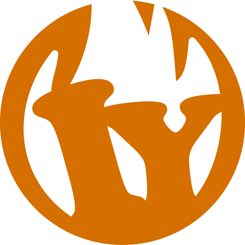 Ignite Youth