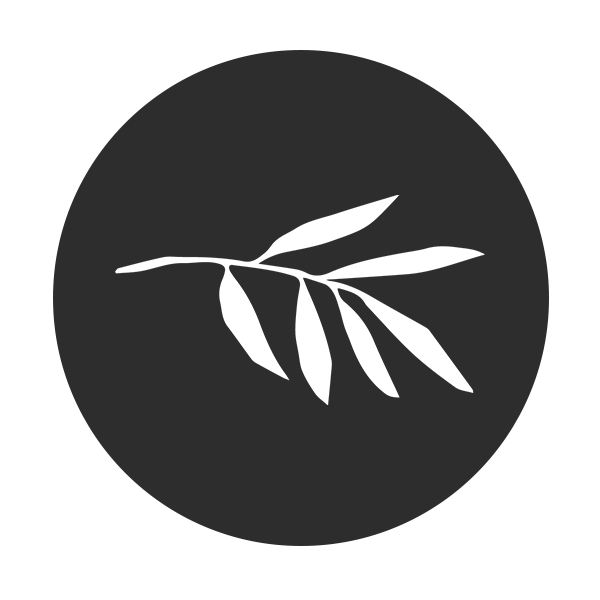 The Olive Branch Community Church