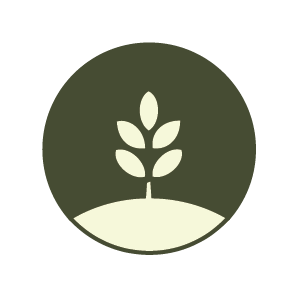 New Life Church