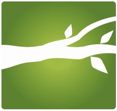 Branches Church