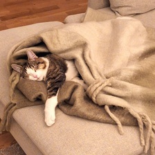 Ceasar Rodriguez thumbnail