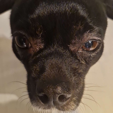 Melker Hulteke thumbnail