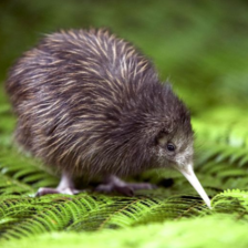 Margit Björhag thumbnail